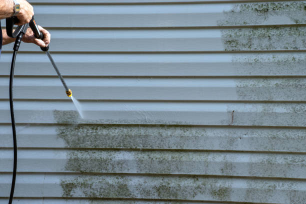 Best Siding Painting and Refinishing  in Fort Washington, PA